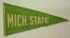 michiganstate.JPG (7520 bytes)