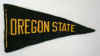 minipennant-oregonstate.JPG (10076 bytes)